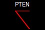 PTEN